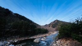 박달나무쉼터