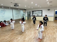 경희대박사태권도