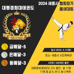 대평경희대태권도&한국파워점핑줄넘기