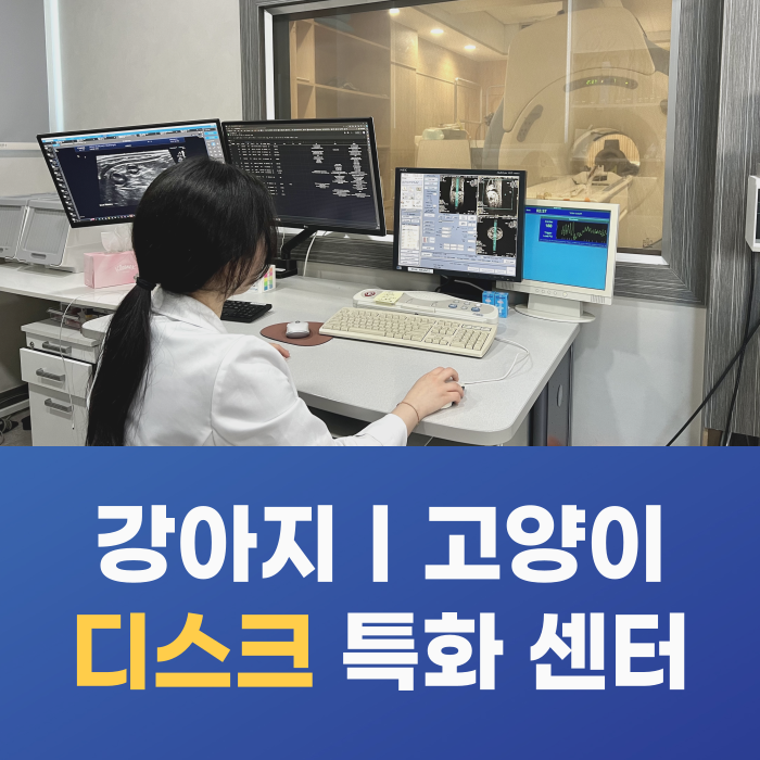 24시 루시드동물메디컬센터 미아 본점