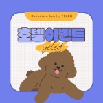 옐레드 문래역점