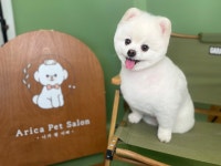 아리카펫살롱 분당점