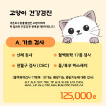 석촌호수동물병원