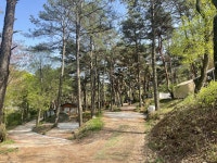 마이산 풍혈냉천 캠핑장