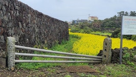하도로와