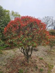 바른조경