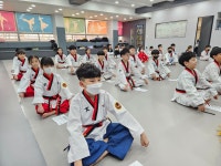 뿌리깊은나무 국기태권도장