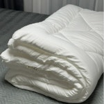 크린토피아 코인워시 염창한마음점