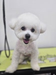 토리멍