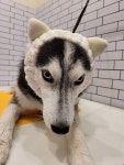 올리스24 창원성산점