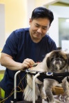 메디펫동물병원
