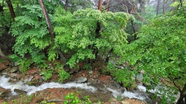 지리산물길따라펜션