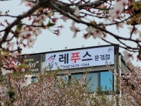 레푸스 문경점촌점