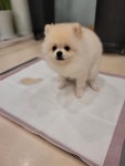 올리스24 창원성산점