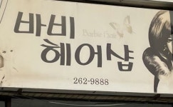 바비헤어샵