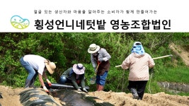 횡성언니네텃밭영농조합법인