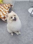 히히그루밍