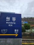 원동달팽이