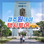 돌고래여행사 경주지점