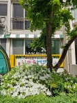 해솔어린이집