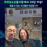 금성유통