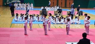 단국대청아태권도