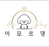 아모르 댕