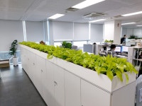 농업회사법인 그린코리아