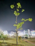 이로운부동산공인중개사사무소