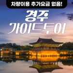 돌고래여행사 경주지점