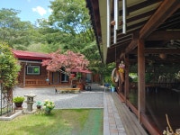 느티나무골펜션