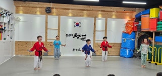 단국대청아태권도장