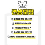 복댕이 유치원