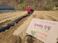 횡성언니네텃밭영농조합법인