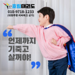 한국체대 호림태권도장