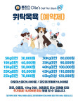 올리스24 마산호계점
