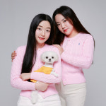 댕로하 애견유치원&애견미용