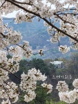 스테이외송