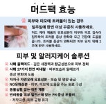 뽀삐애견샵