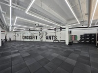 크로스핏 앤츠 길음점