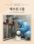 헤브론그룹