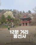 어느작가의방