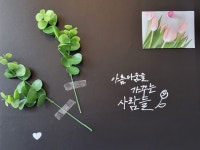 박정화헤어라인미용실 | 박정화미용실