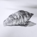 리움창의미술학원