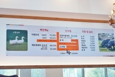 오리타운