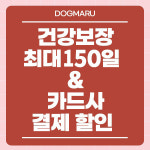 강아지분양 고양이분양 도그마루 무료 검단점