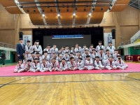 용인대 태권도 상신 정도장