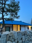 스테이돌담