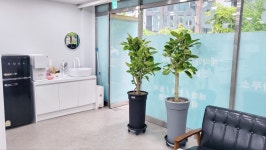 월드스타공인중개사사무소