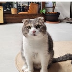 가죽공방 레더두